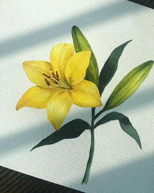 她的水彩花卉画的很美,让人看了有种初恋的感觉!