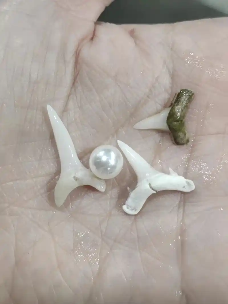 浩海立方捡鲨鱼牙,顺便拍个照呀!叶潜浩海欢乐拍,每周六可约. - 抖音