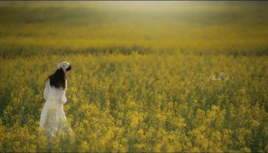 宁波摄影网 - powered by discuz!