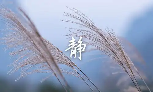 宛如一朵朵秀气的浮云,展示着天地间的唯美.