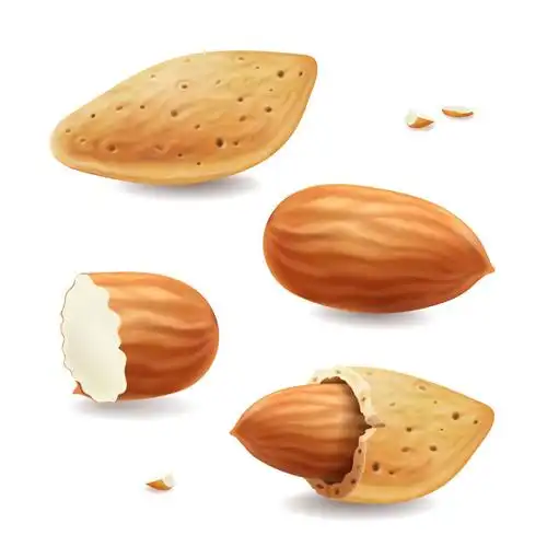 坚果,矢量,坚果壳,杏仁,白色背景矢量图素材_id:312141320