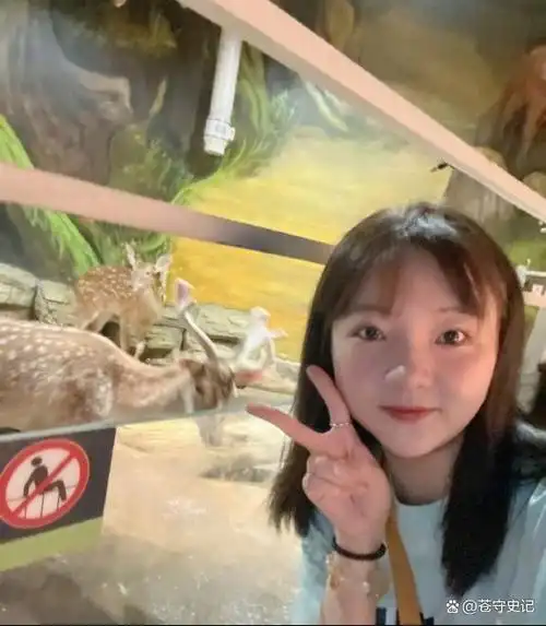 张子枫,吴磊只是