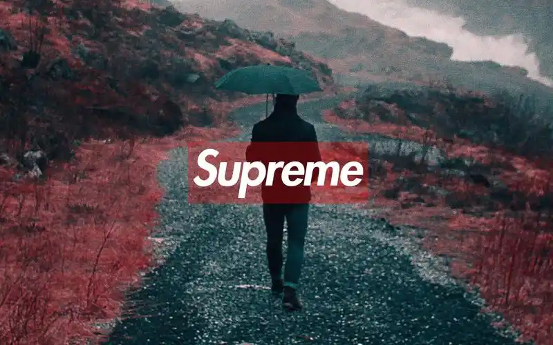 supreme17ss完结回顾1本季up主的最喜欢的三件上衣
