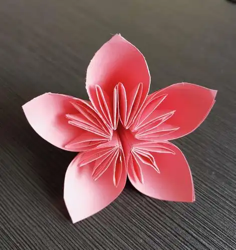 我的折纸作业《1》