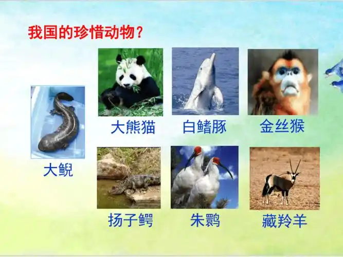 青岛版四年级上册科学第5课我国的珍稀动物ppt课件