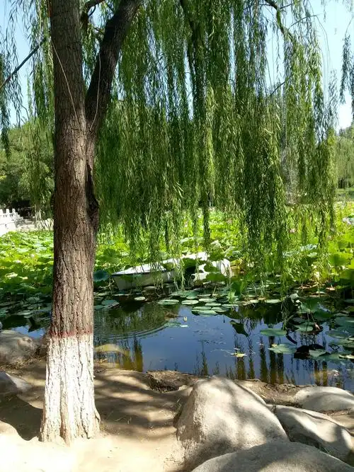 实拍美景,贴近自然