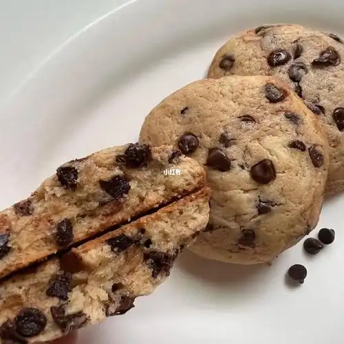 chocolatechip