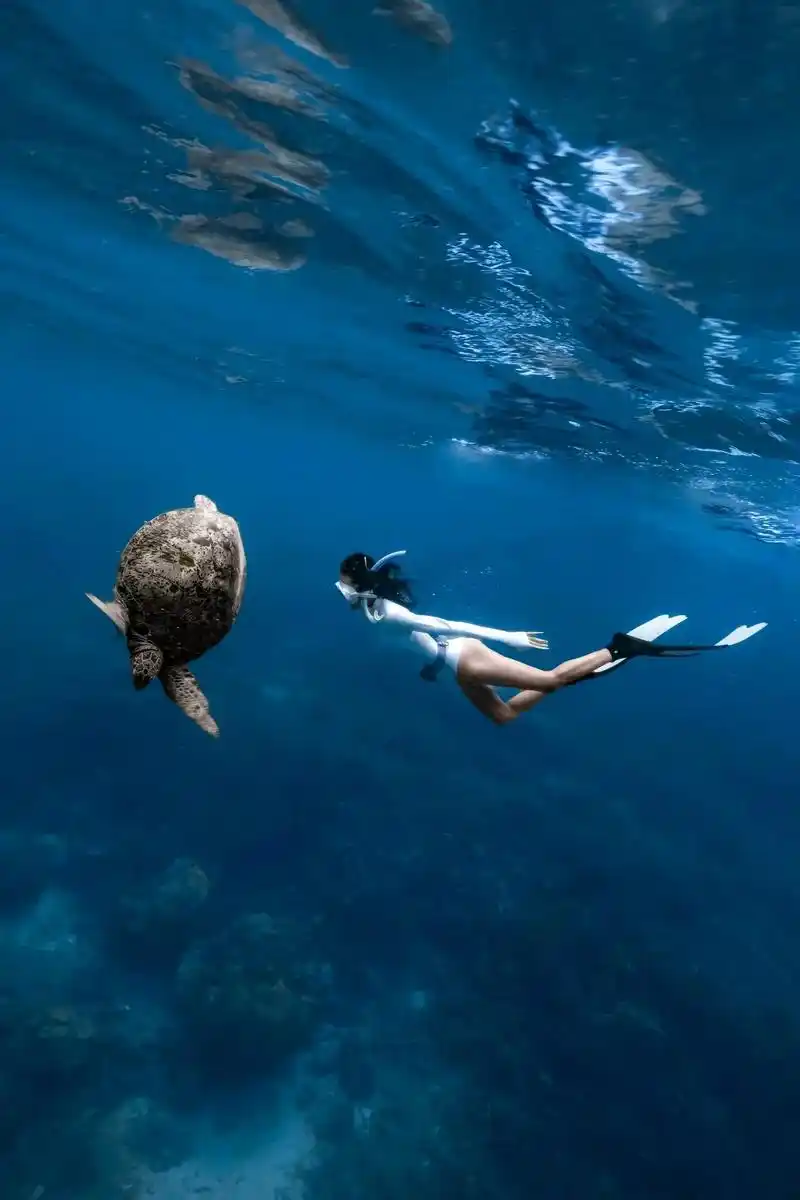 勇敢的人先享受世界#自由潜 #水下摄影 #仙本那潜水 - 抖音