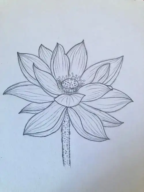 素描画画图片大全素描绘画作品图片大全