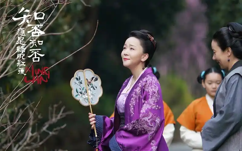 《知否知否应是绿肥红瘦》王一楠剧照图片壁纸