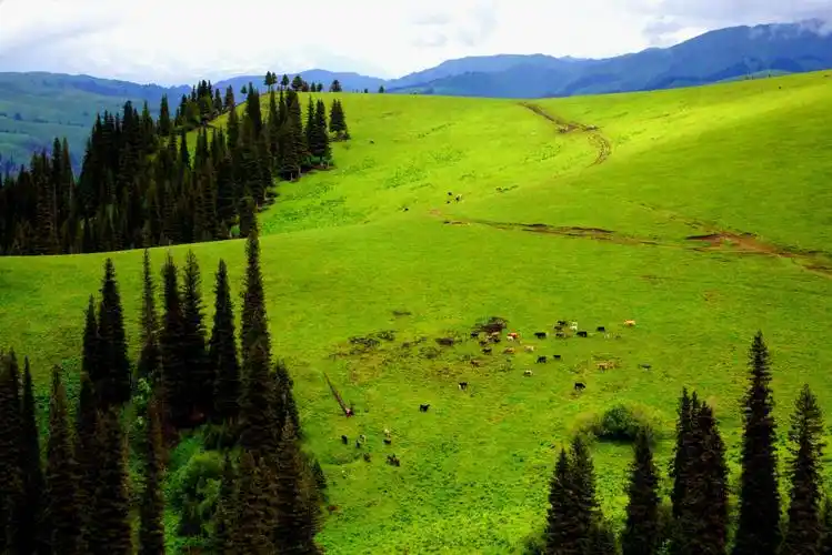 壮丽峻岭高山草原