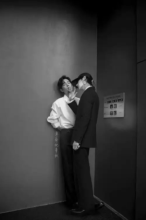 王一博肖战魏无羡蓝忘机含光君夷陵老祖魏无羡魏婴蓝湛