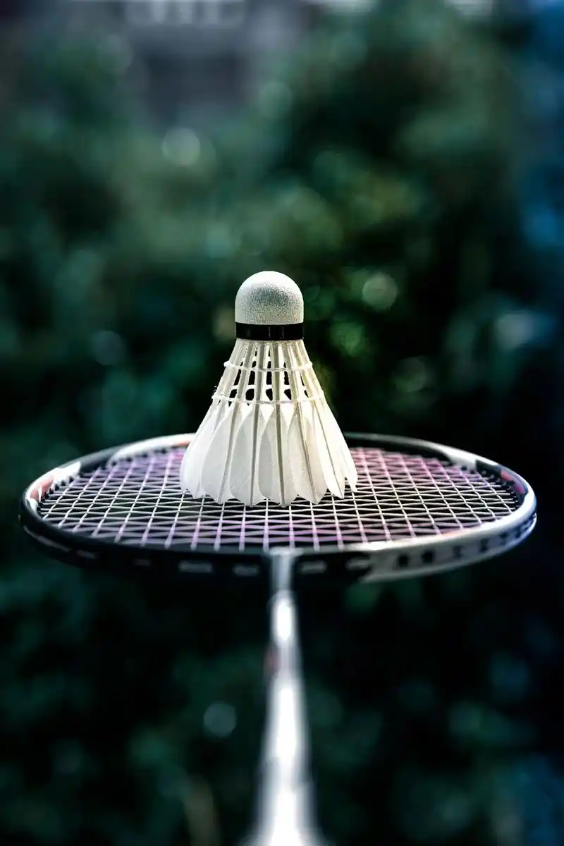 羽毛球壁纸来啦,越看越爱自己的球拍.#羽毛球 #享受羽毛球带来的快乐