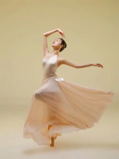 简单又好看的舞蹈大摆裙舞姿