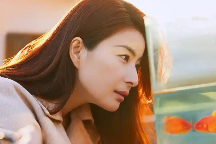 郭晶晶将任东京奥运会跳水评委豪门之光跳水女皇当之无愧