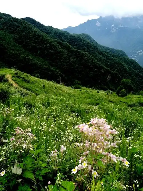 流峪寺草甸一日游