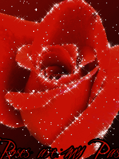 240_320竖版 竖屏gif 动态图 动图