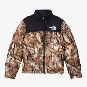 the north face 北面1996保暖落叶棕薄荷绿连帽羽绒服外套700蓬