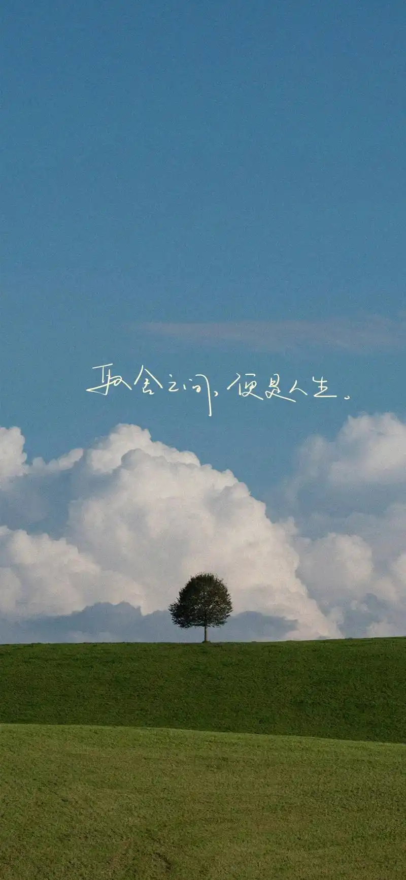 南风无梦渡九州 粉丝 479 获赞 6133 关注 20250318手写壁纸 取舍