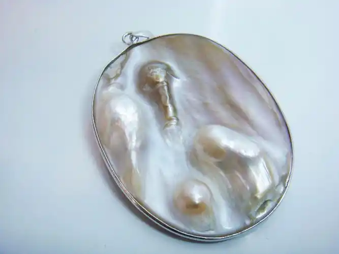 p>珍珠贝, a href="#" data-lemmaid="563285">软体动物门 /a>,瓣鳃