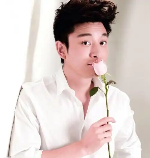 贾乃亮近照模样大变大黑脸香肠唇判若两人网友丑到看不下去