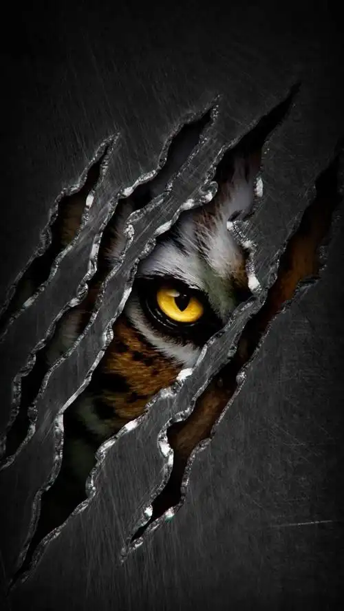 霸气壁纸,霸气壁纸女生超拽冷酷,霸气壁纸男生超拽冷酷,霸气壁纸高清