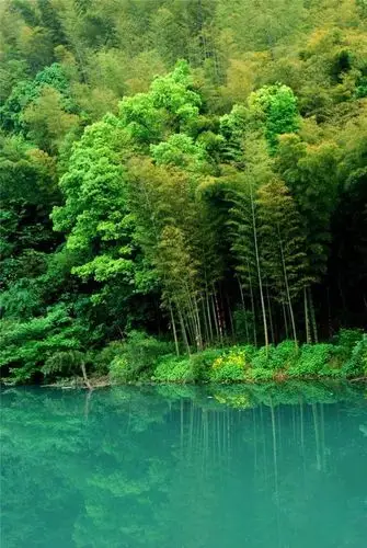 每一面都是大自然赋予戴村的生机2当越野遇到戴村青山绿水那便是朝气