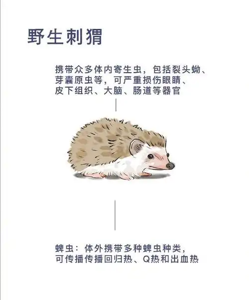 科普:野生动物究竟有多少病毒?