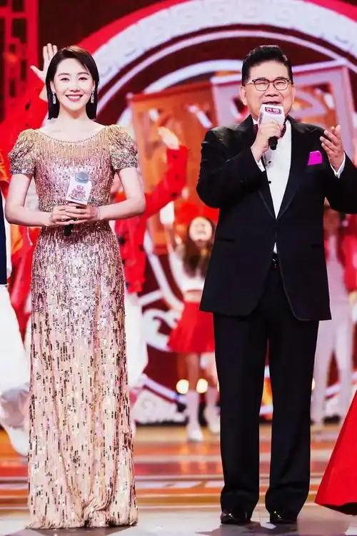 陈辰因为生二胎