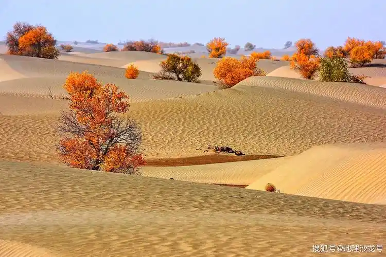 如果塔克拉玛干沙漠变成草原对我国气候有什么影响