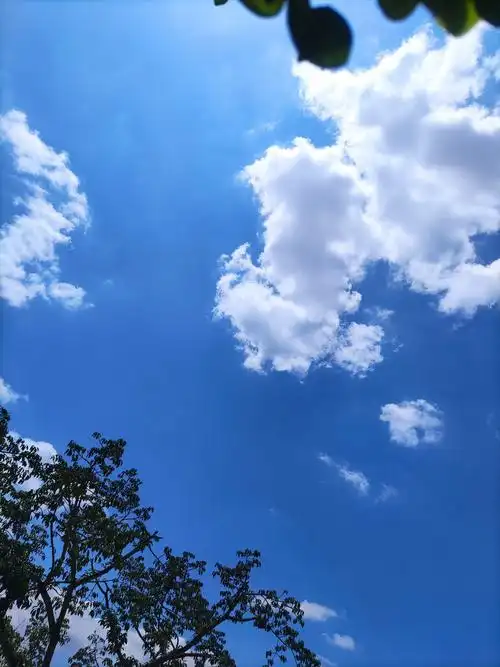 晴天. - 云枳mmr - 图虫