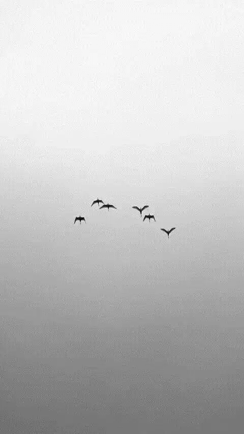 【黑白系列】简约壁纸