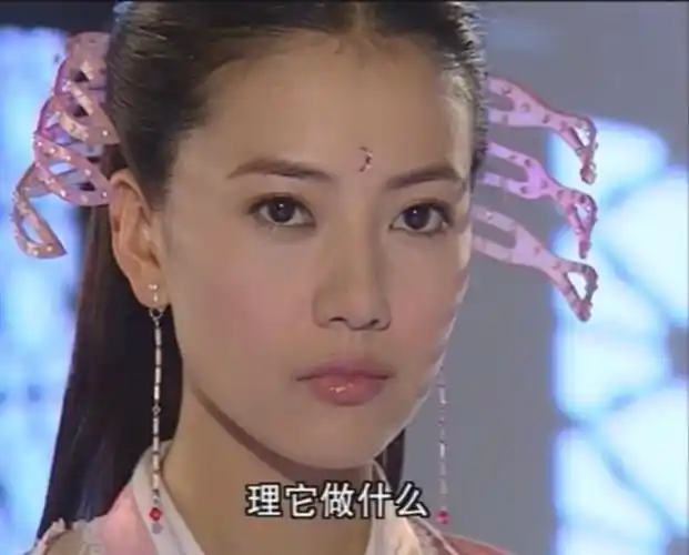 靠着《倚天屠龙记》的热播,高圆圆成了国内知名女星,和成龙合作《宝贝