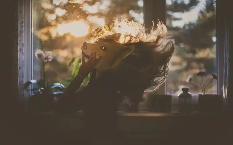 非主流,唯美,伤感,心情,壁纸伤感心情非主流桌面壁纸下载