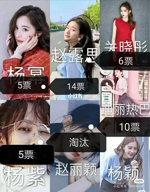 女明星投票_女明星_赵丽颖_杨紫_影视_明星娱乐资讯