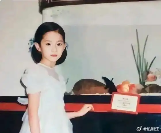 刘亦菲小时候的生活有多优越:12岁家里就有笔记本电脑,住豪华大别墅