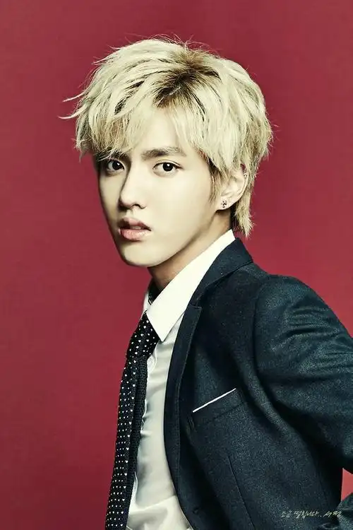 不过相信吴亦凡的不少忠实粉丝是在 2012 年间他在韩国出道,担任 exo