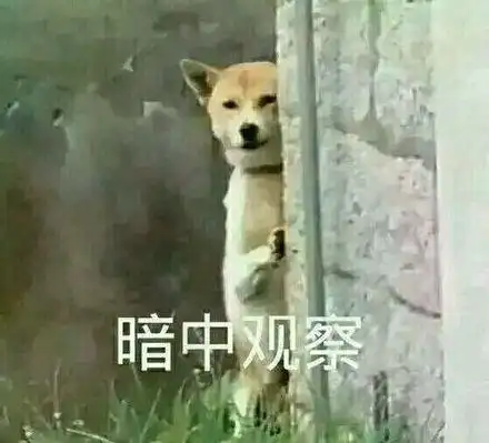 暗中观察(小黄狗躲墙壁后面)_黄狗_墙壁_暗中表情