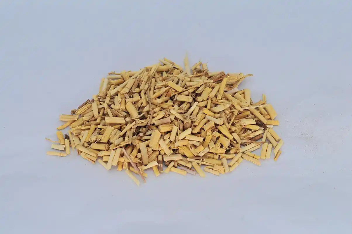 淋病有良效【仅供参考】  功效:清热利尿,凉血止血  组成:白茅根(大