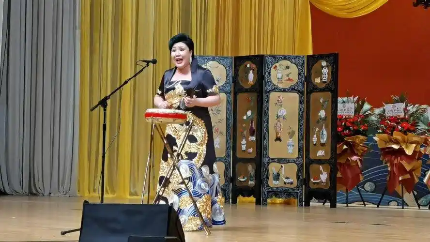 王惠老师再唱经典白派京韵大鼓《探晴雯》我可是第一次听现场版呀~~外