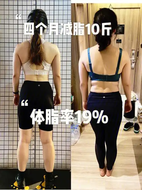 四个月减脂10斤,体脂率19%(之身体指标变化)