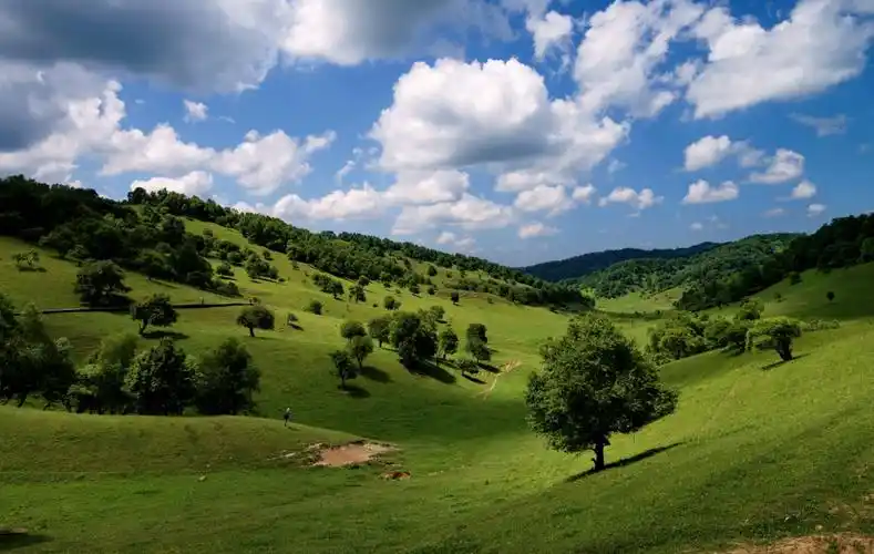 《关山草原 草甸奇迹》