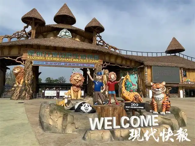 两万多只野生动物齐亮相,徐州九顶山野生动物园9月28日开园|亚洲象