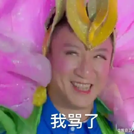 孙红雷微博头像恶搞罗志祥 《极限挑战》黄渤自行车座失踪