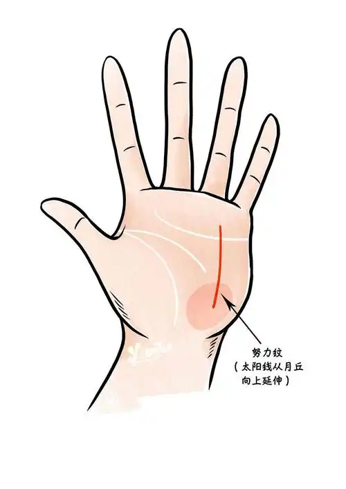 月丘掌纹图解 月丘在手掌的那个位置-图片大观-奇异网