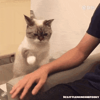 320_320gif 动态图 动图