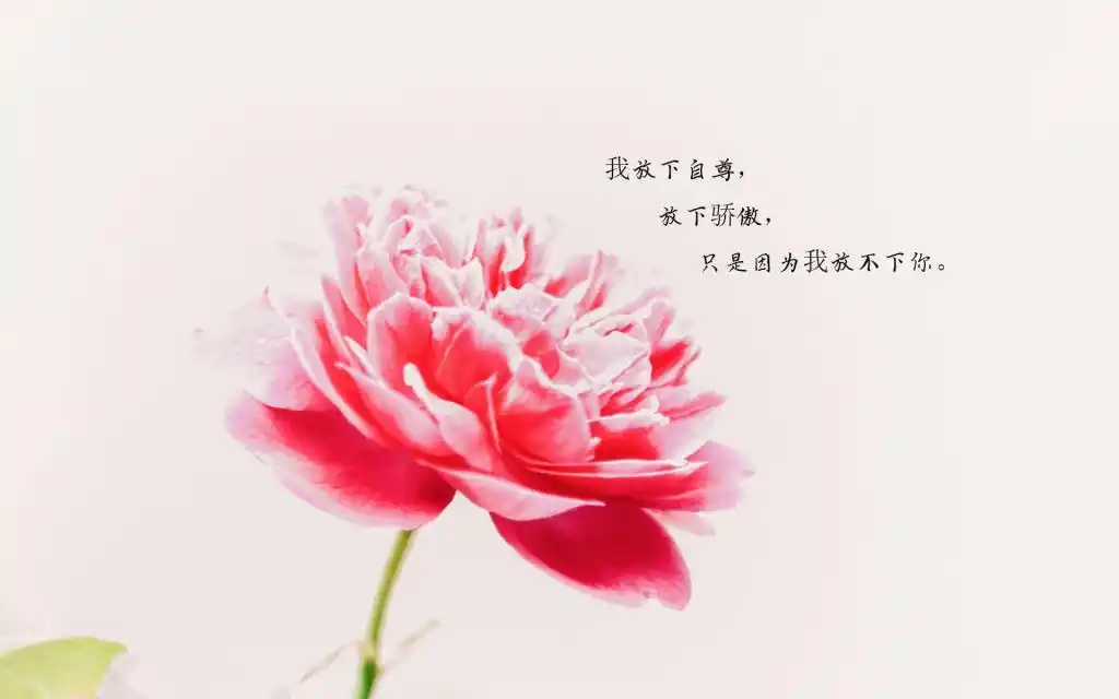 让人心碎伤心的说说图片,高清壁纸图片,非主流-回车桌面