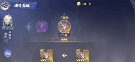 斗罗大陆魂师对决魂骨升级攻略