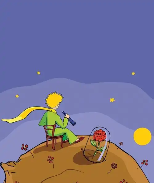 小王子人生的弯路一条都绕不开