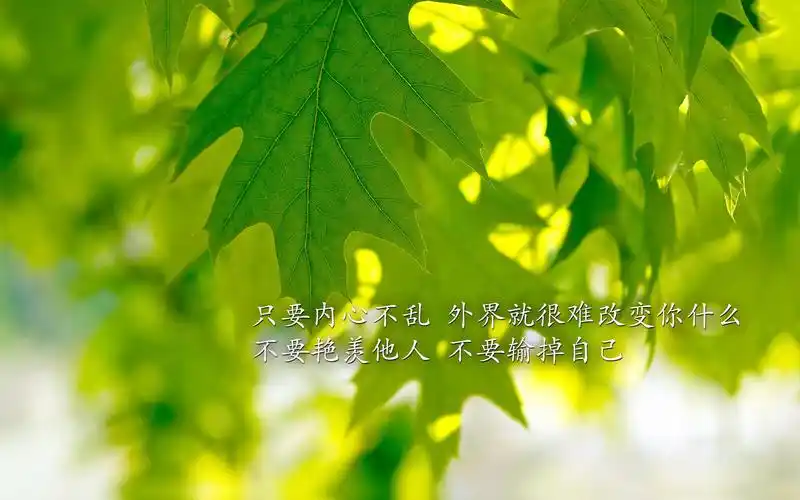 首页 桌面壁纸 唯美励志文字小清新电脑壁纸图片大全上一张下一张查看